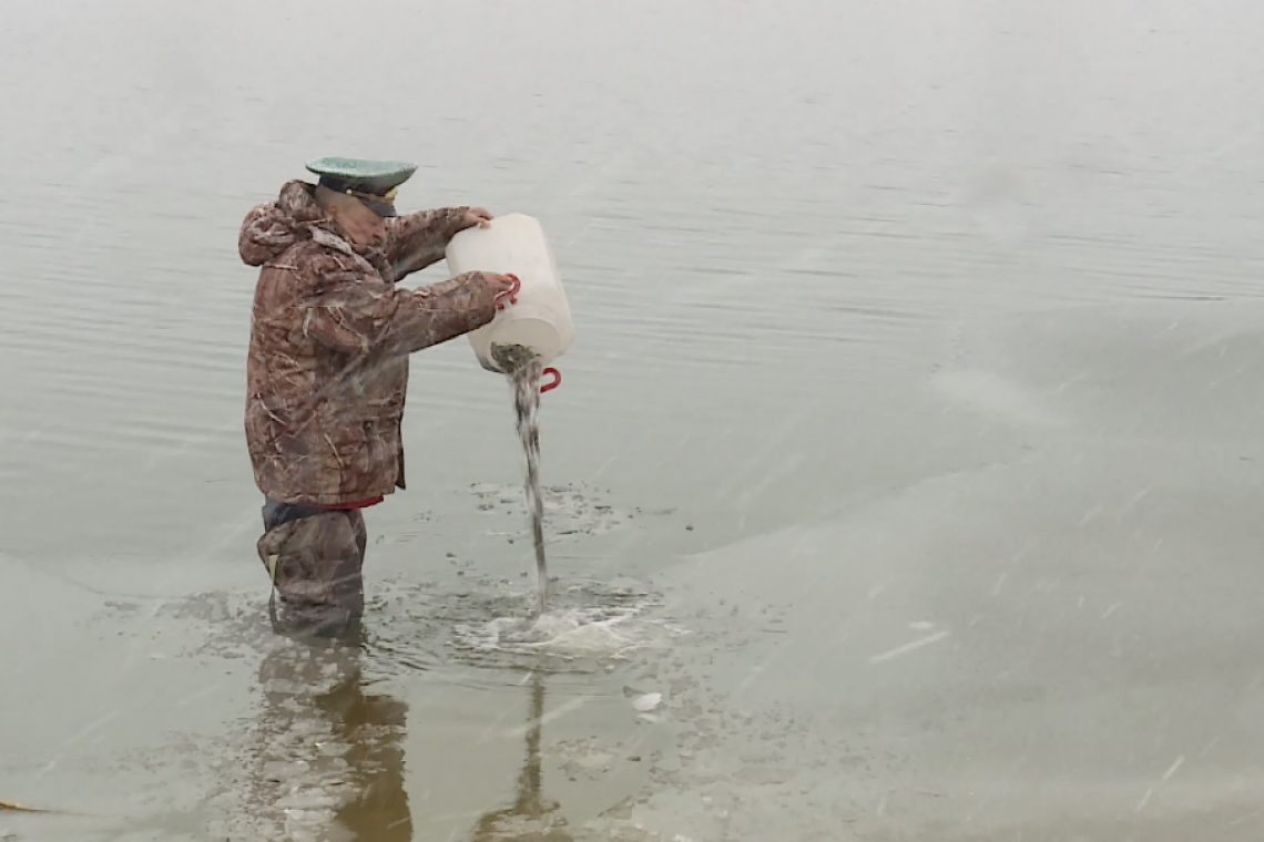 В Комсомольское озеро выпустили 5000 мальков гольяна и 500 карасей