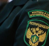 Жителей Нижневартовска предупреждают о штрафах за нарушение пожарной безопасности в лесах