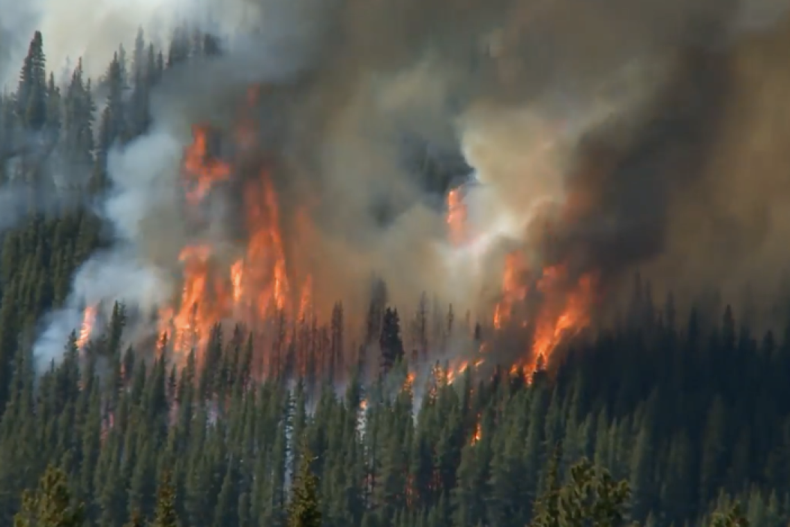 Лесные пожарные Югры помогут в тушении природных пожаров в Красноярском крае
