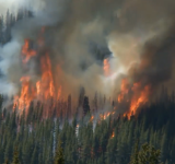 Лесные пожарные Югры помогут в тушении природных пожаров в Красноярском крае
