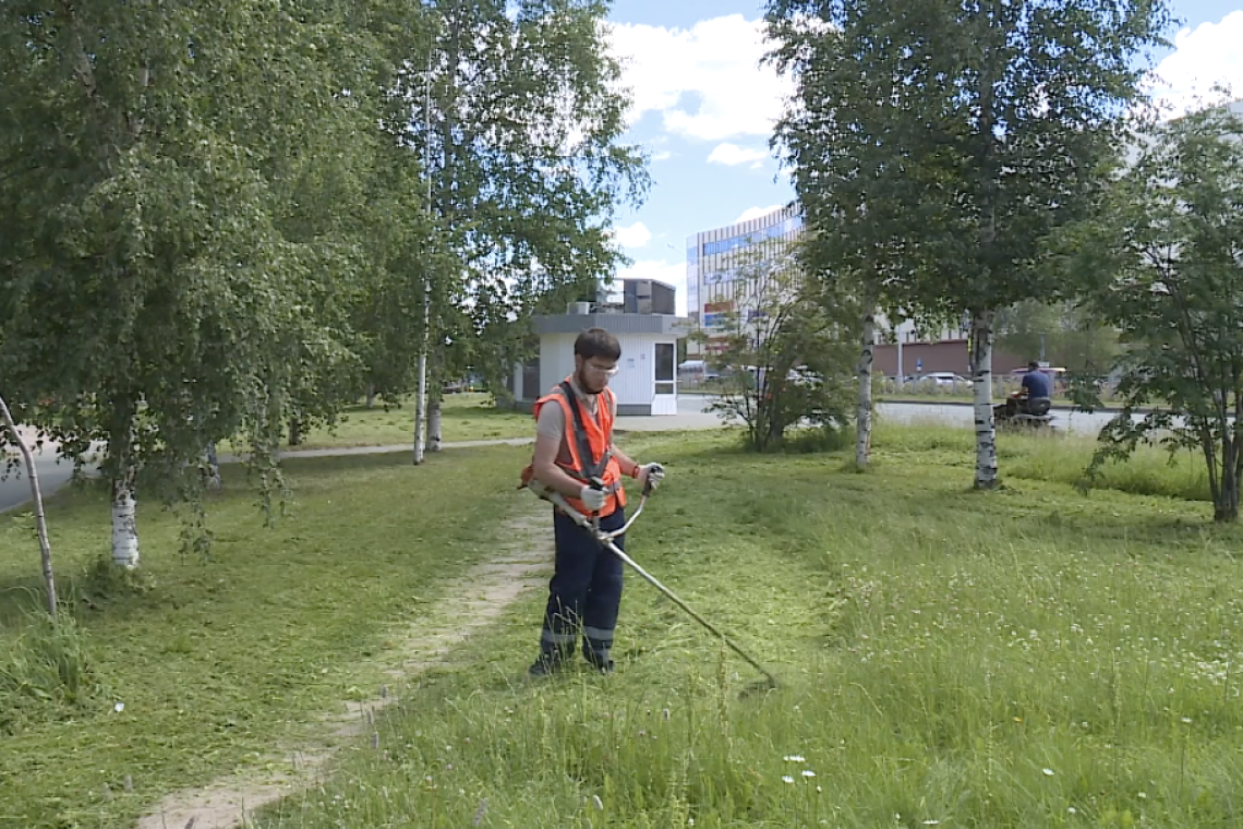 В Нижневартовске ежедневно проводится покос травы в рамках работ по благоустройству города