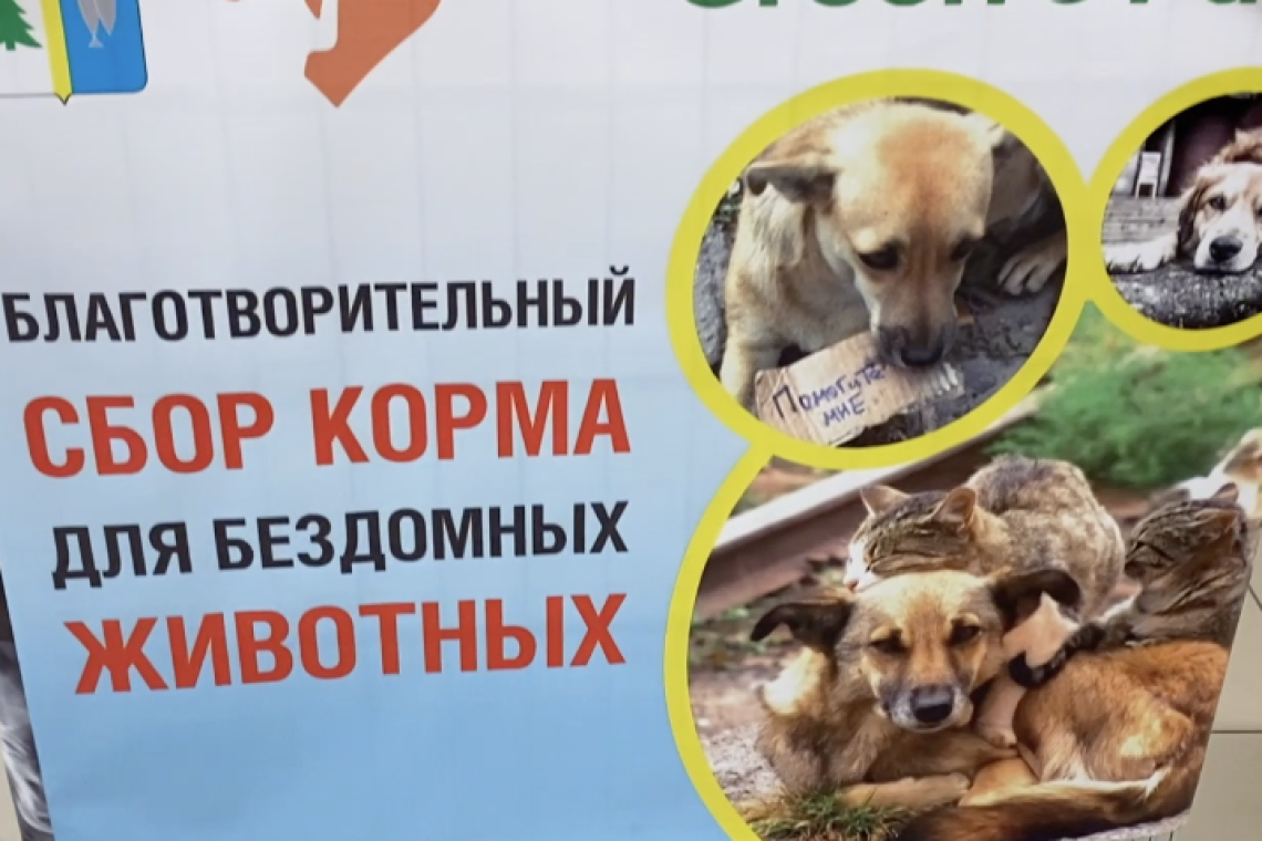 В Нижневартовске продолжается сбор корма бездомным животным 