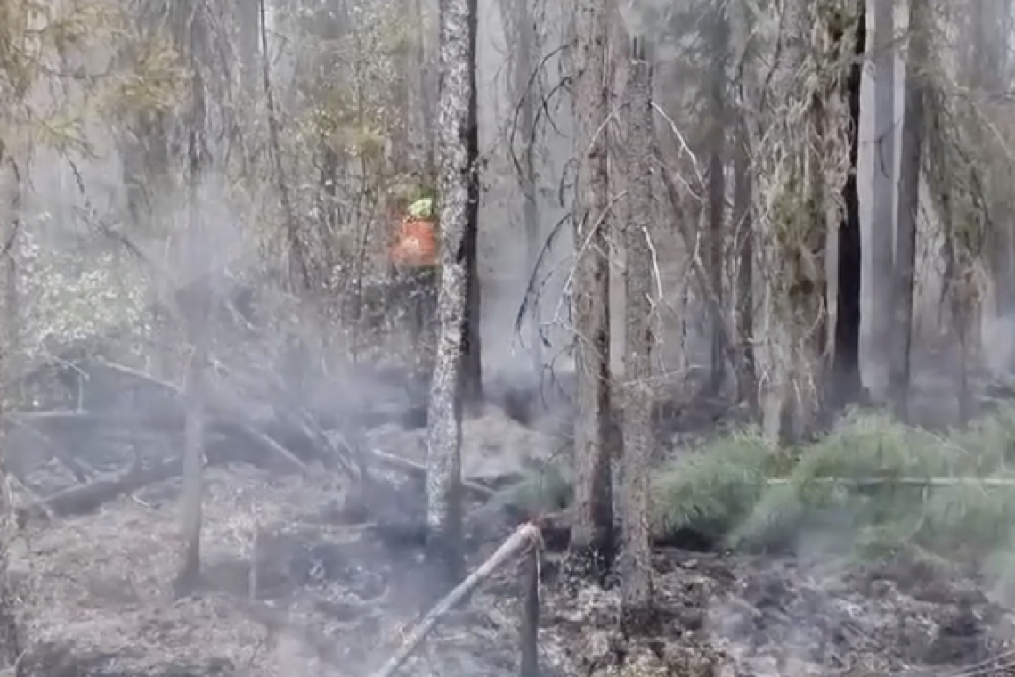 Югорские лесные пожары удалось потушить