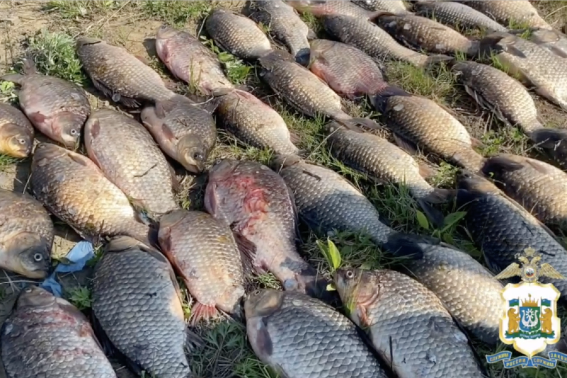 Полицейские Нижневартовска задержали рыбаков-браконьеров