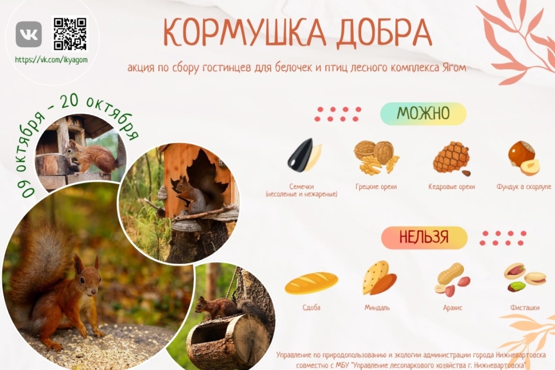 В Нижневартовске запустили акцию по сбору корма для лесных жителей