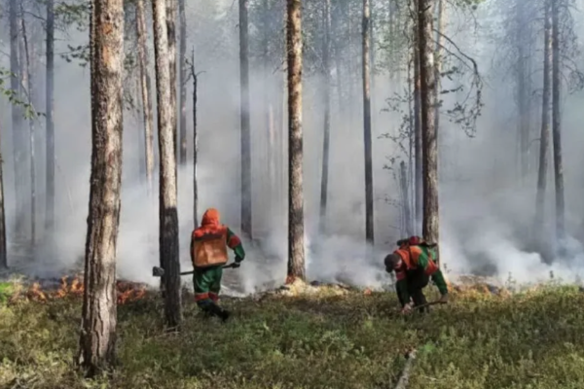 МЧС Югры прогнозирует высокий уровень пожарной опасности в нескольких районах округа