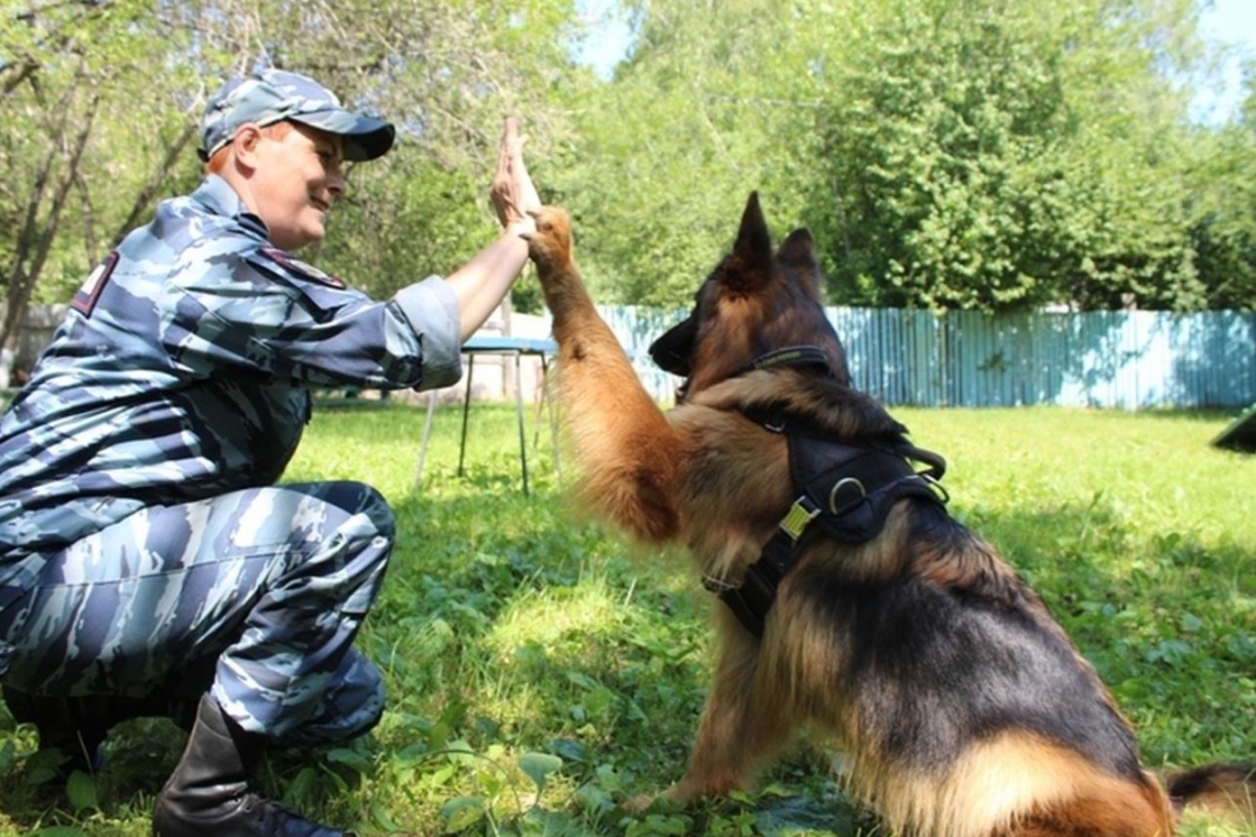 В ХМАО служебный пес помог поймать вора